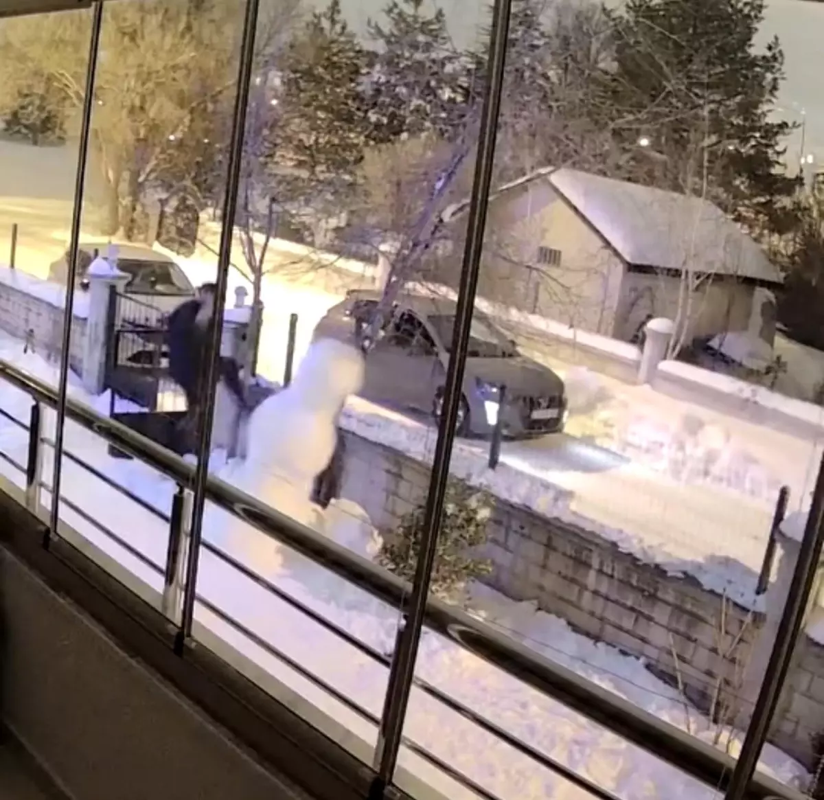 Aracından indi kardan adamı yıkıp gitti