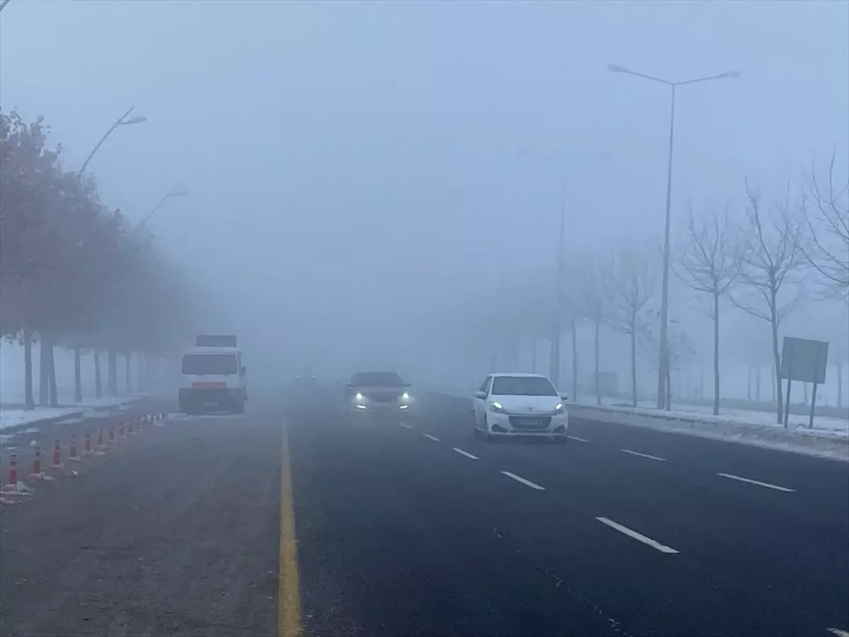 Diyarbakır'da sis etkili oldu