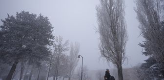 Doğu Anadolu'da 5 ilde soğuk hava ve sis etkili oluyor
