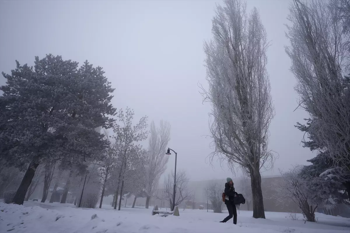 Doğu Anadolu'da 5 ilde soğuk hava ve sis etkili oluyor