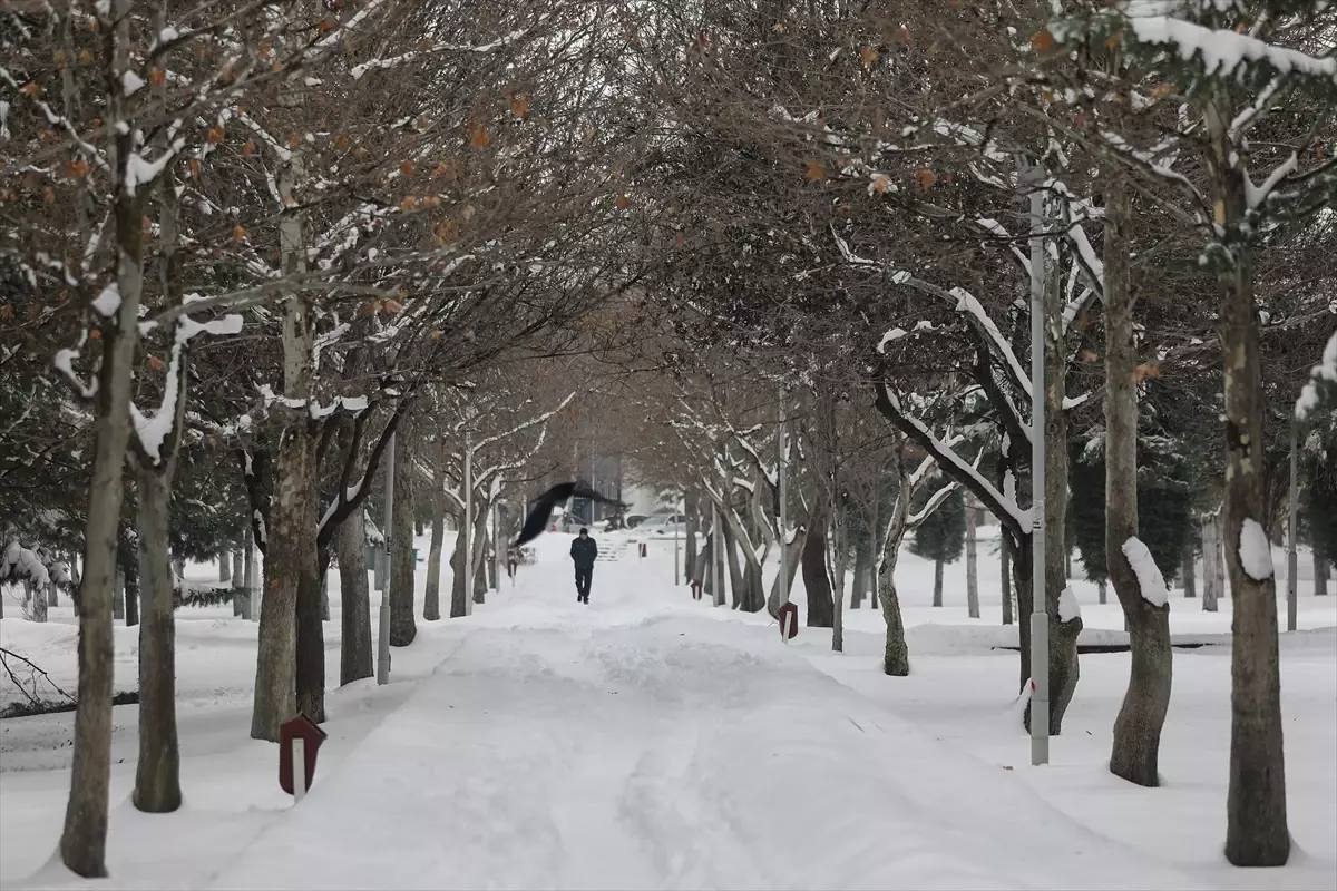 Elazığ'da kar yağışının ardından güzel manzaralar oluştu