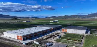 İzmir'in yeni serbest bölgesinden ilk yılda yaklaşık 12,5 milyon dolarlık ihracat