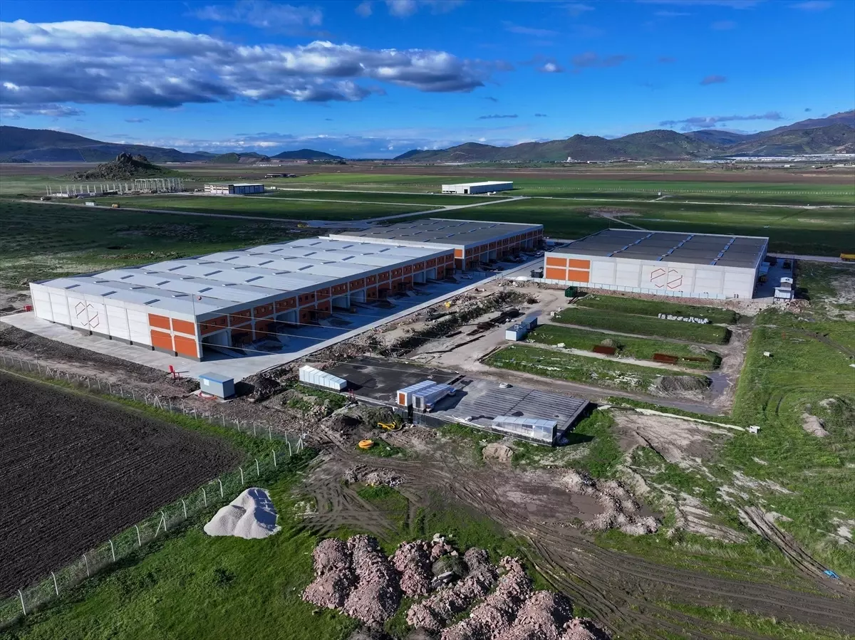 İzmir'in yeni serbest bölgesinden ilk yılda yaklaşık 12,5 milyon dolarlık ihracat