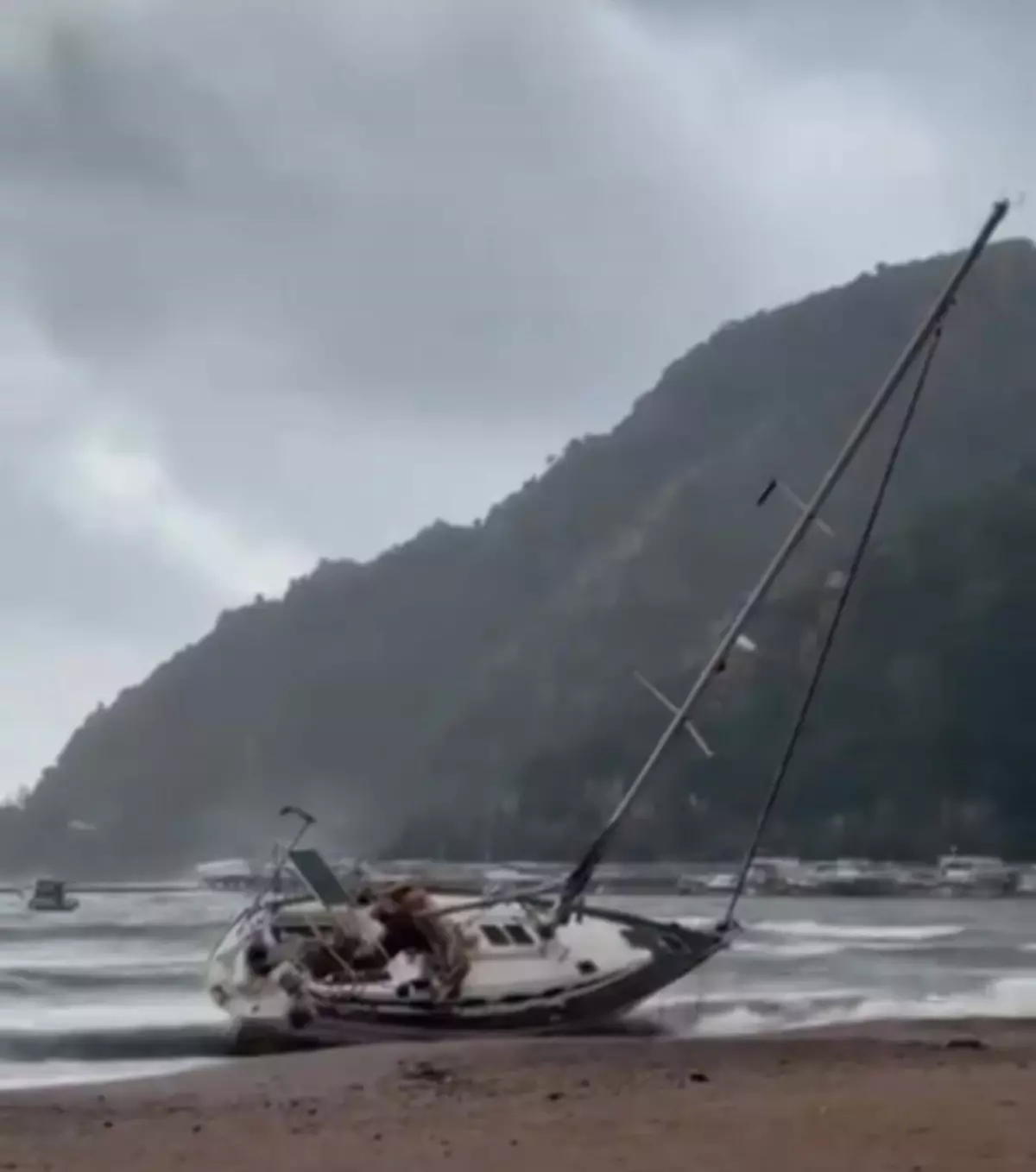 Marmaris'te Fırtına Etkili Oldu: Ağaçlar Devrildi, Yelkenli Tekne Karaya Oturdu