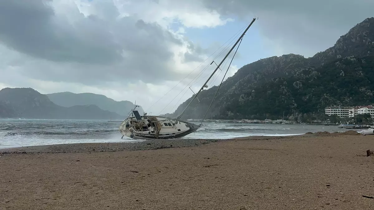 Marmaris'te fırtına; ağaçlar devrildi, yelkenli tekne karaya oturdu