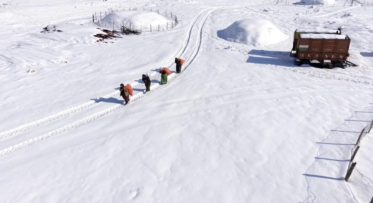Mazıdağı'nın karlı yollarında zorlu mesai: Kadınlar sırtlarında saman taşıyarak kışa meydan okuyor