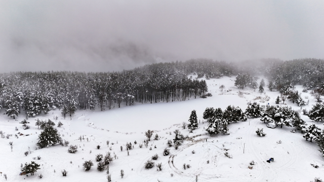 ne bursa nin uludag i ne de erzurum un palandoken 19505449 1064 m