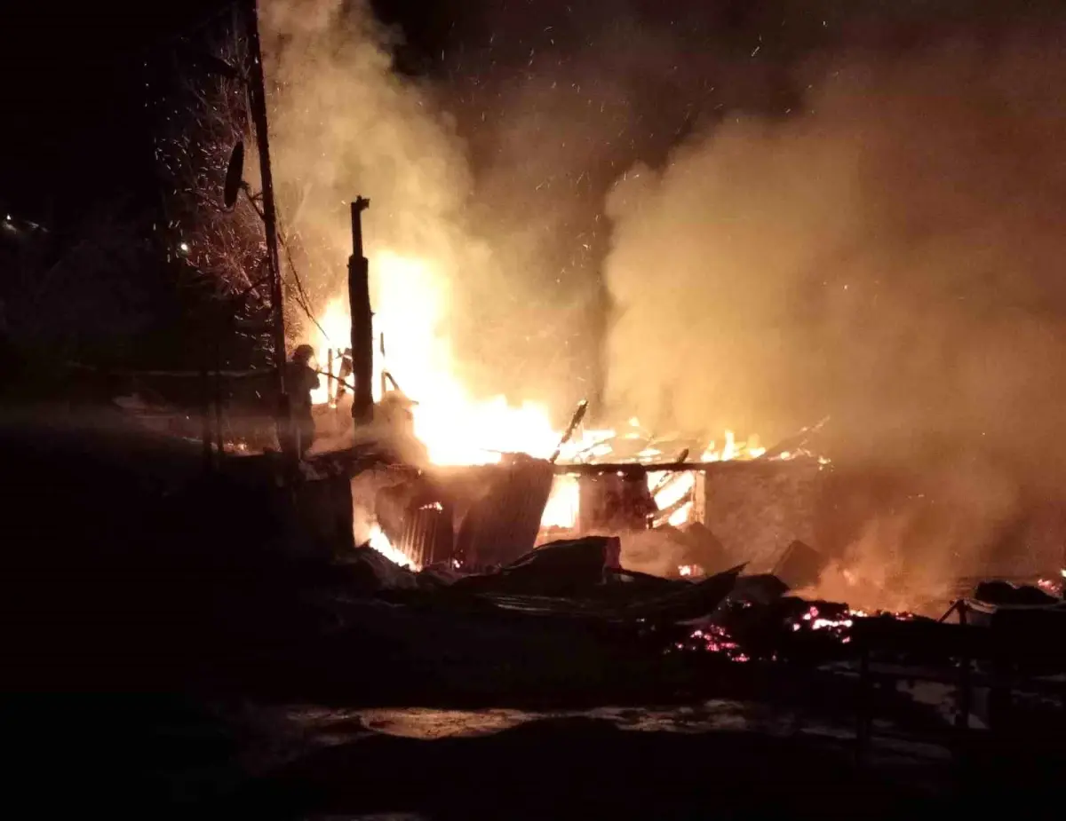Ordu'da evini ateşe veren şahıs ağaçta asılı halde bulundu