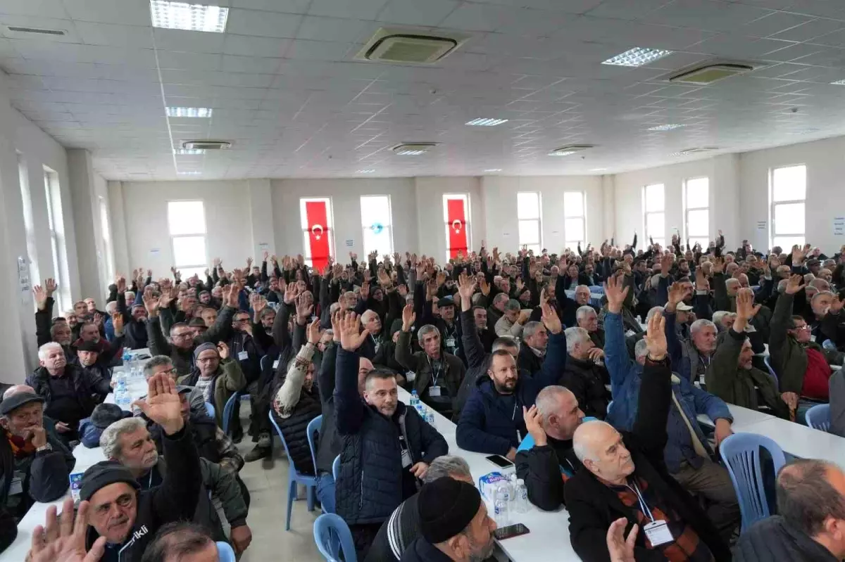 Orhangazi Zeytin Tarım Satış Kooperatifi'nde Hüseyin Sevdi dönemi başladı