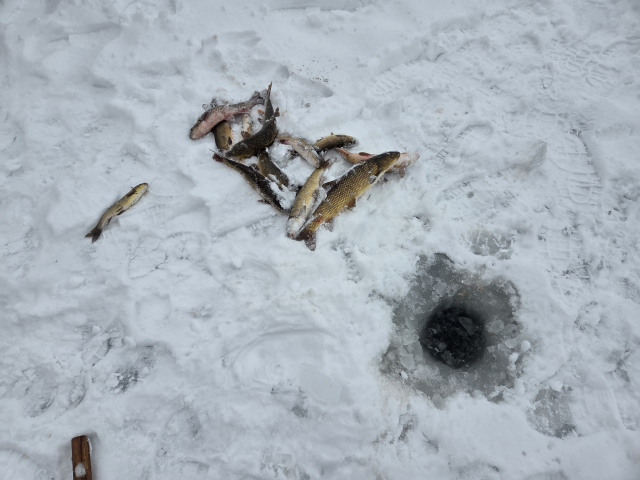 turkiye nin en uzun nehri dondu uzerinde eskimo 19505735 5518 m