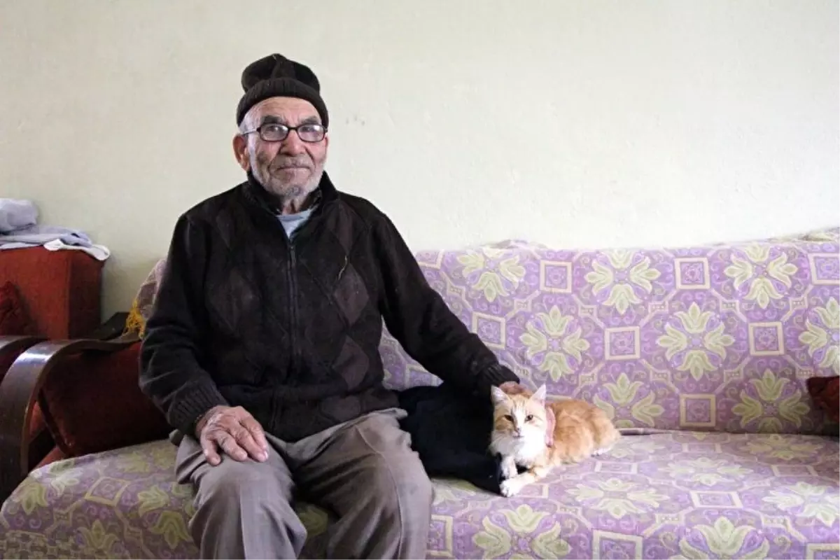 Mudurnu'da kedisine sarılarak gözyaşı döken Ali Meşe hayatını kaybetti