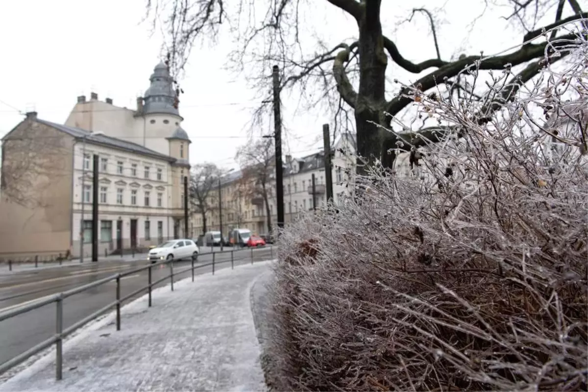 Albüm: Berlin'de Gizli Buzlanma Ulaşımı Olumsuz Etkiledi