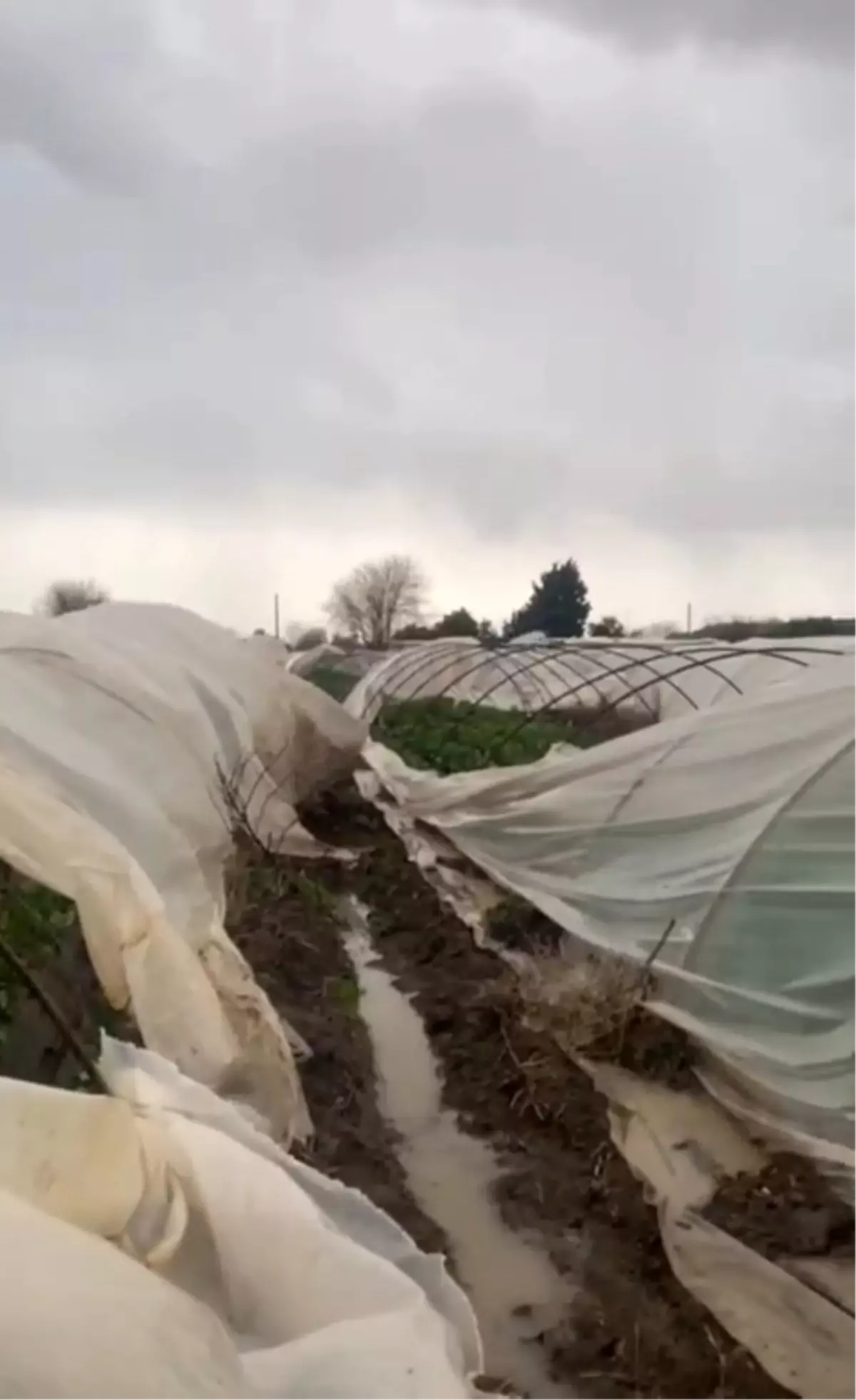 Antalya'da peş peşe hortumlar; seralar yıkıldı, çatılar uçtu