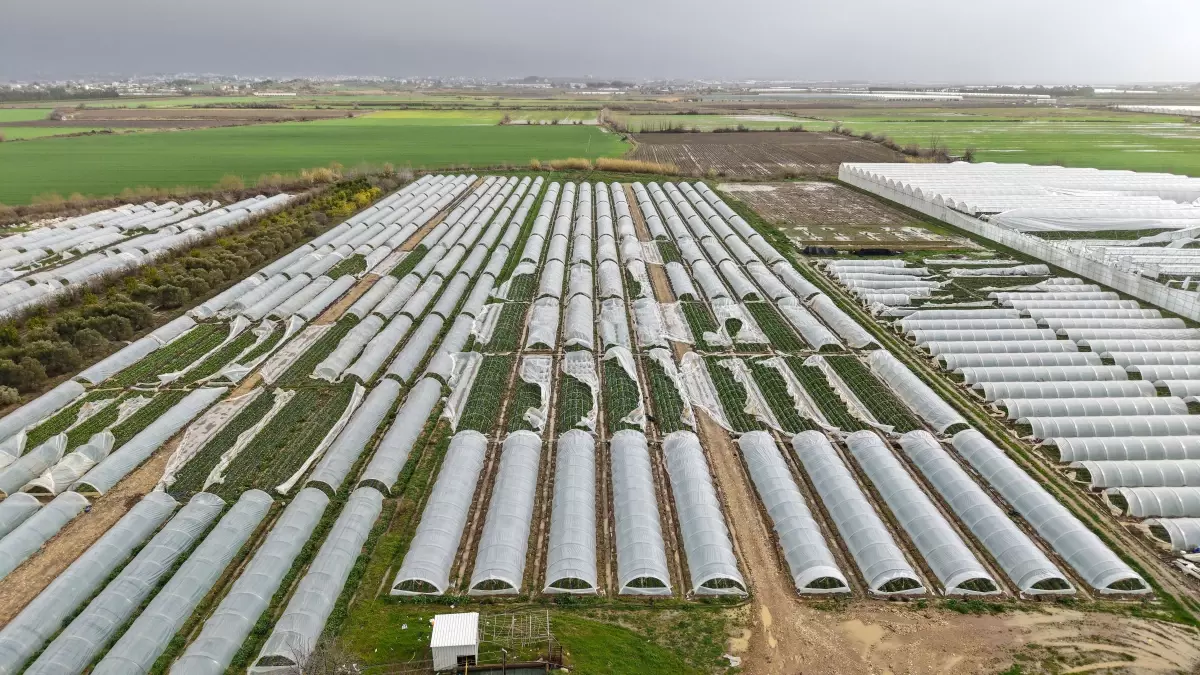 Antalya'da peş peşe hortumlar; seralar yıkıldı, çatılar uçtu