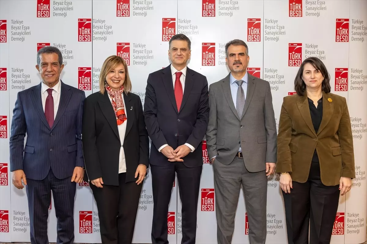 Beyaz eşyada yurt içi satışlar geçen yıl yüzde 3 azaldı