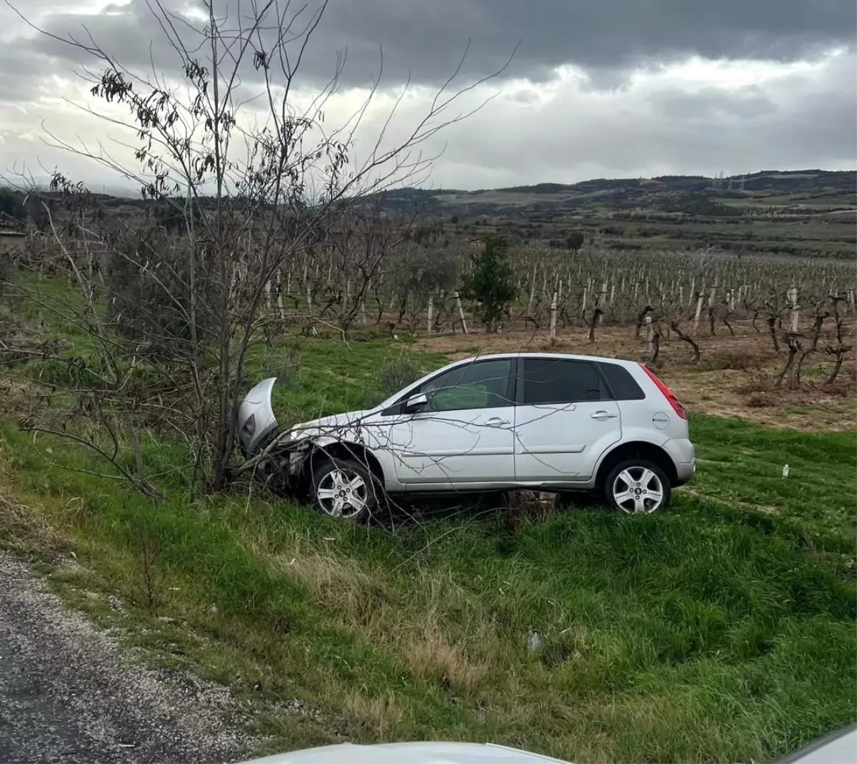 Buldan'da aynı yolda ikinci kaza, otomobil üzüm bağına uçtu