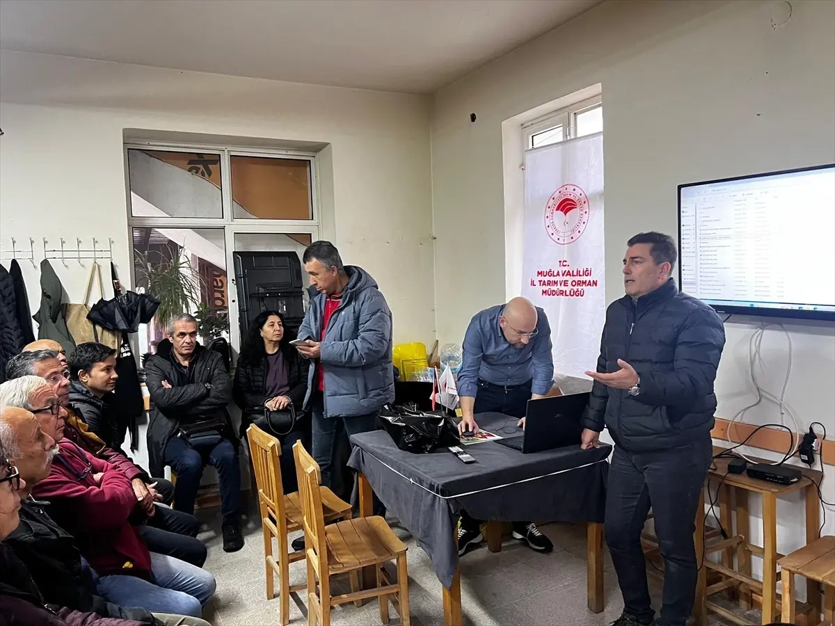 Datça'da badem üreticilerine hastalık ve zararlılarla mücadele eğitimi verildi