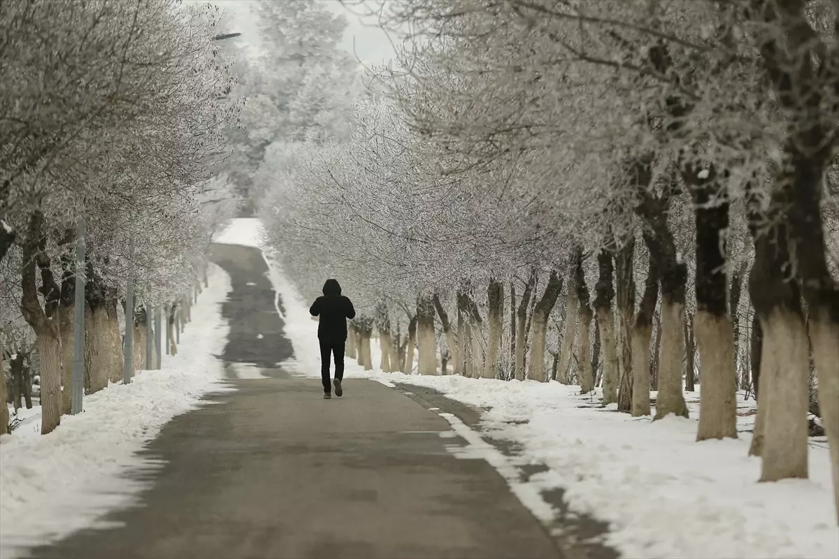 Diyarbakır'da soğuk hava etkili oluyor