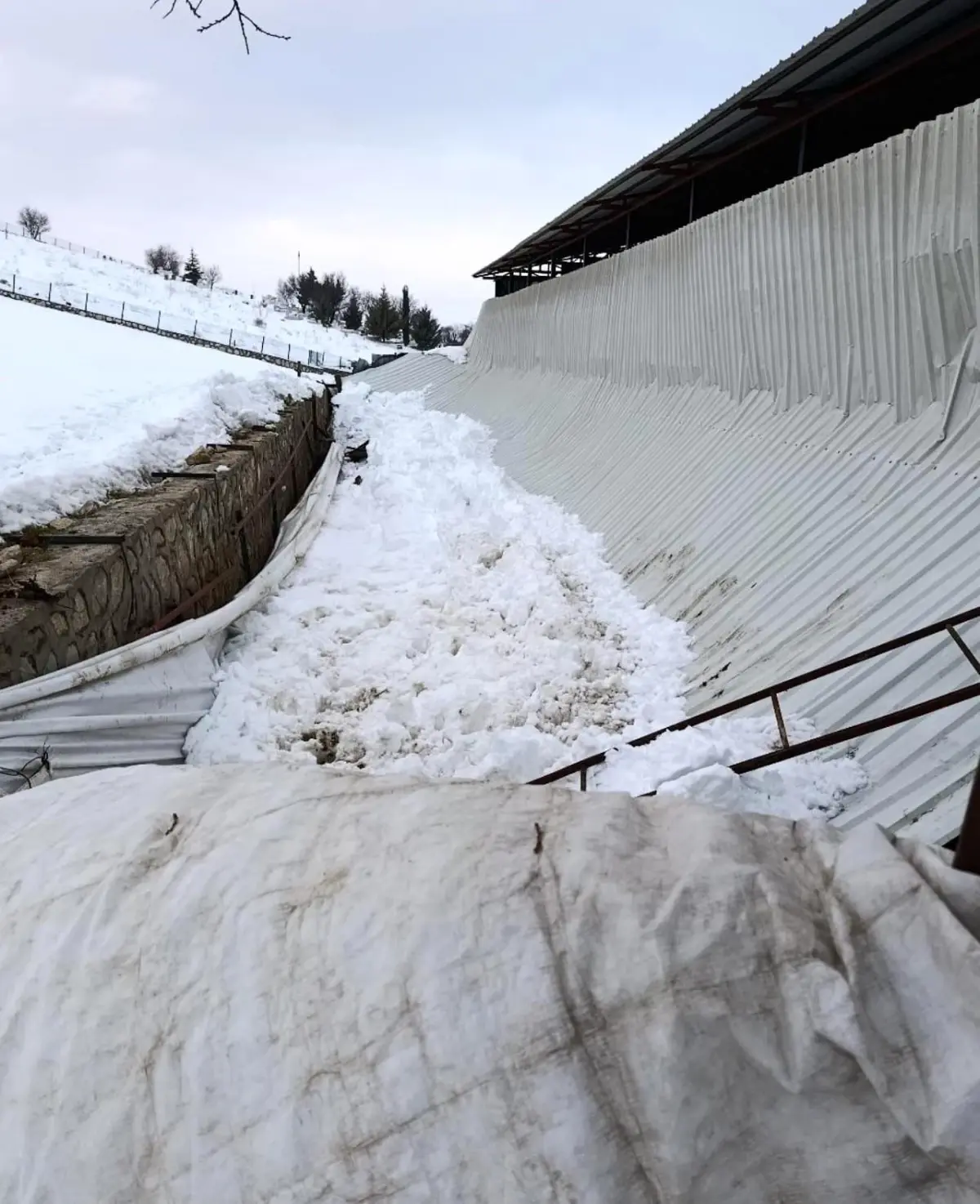 Elazığ'da ahırın tavanı çöktü