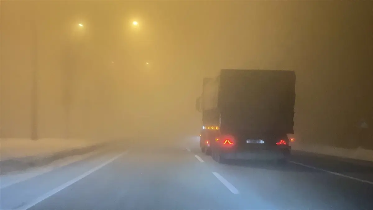 Erzurum'da yoğun sis etkili oldu