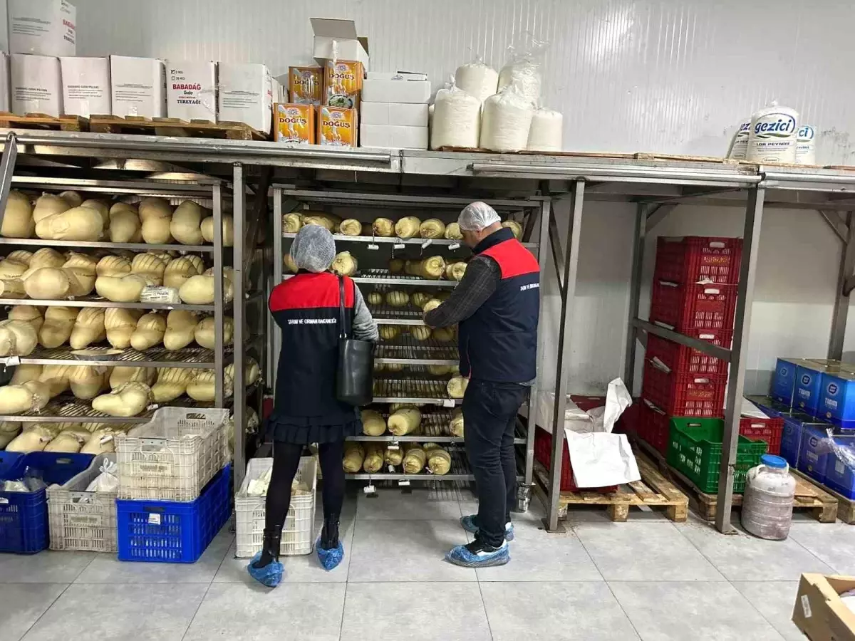 Gıda denetimlerinde "yaka kamerası" uygulamasına geçiliyor