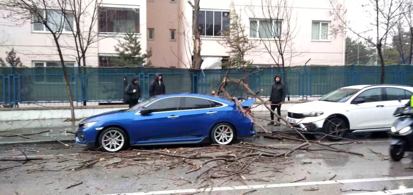 Isparta'da fırtına ağaçları devirdi, araçlar hasar gördü