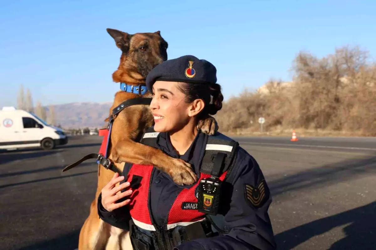 JAKEM'de görev köpekleri zorlu görevlere hazırlanıyor