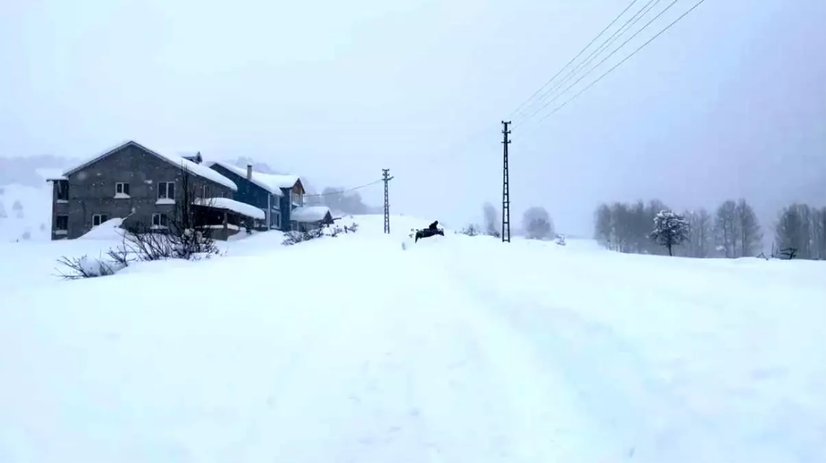 Karın tadını çıkarmak için İstanbul'dan Sivas'a akın ettiler