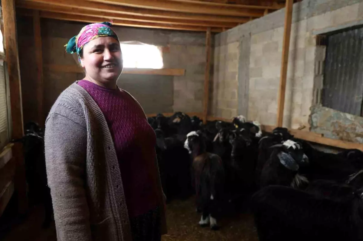 Kırsalda hayvancılıkla uğraşan kadın besicinin zorlu mesaisi