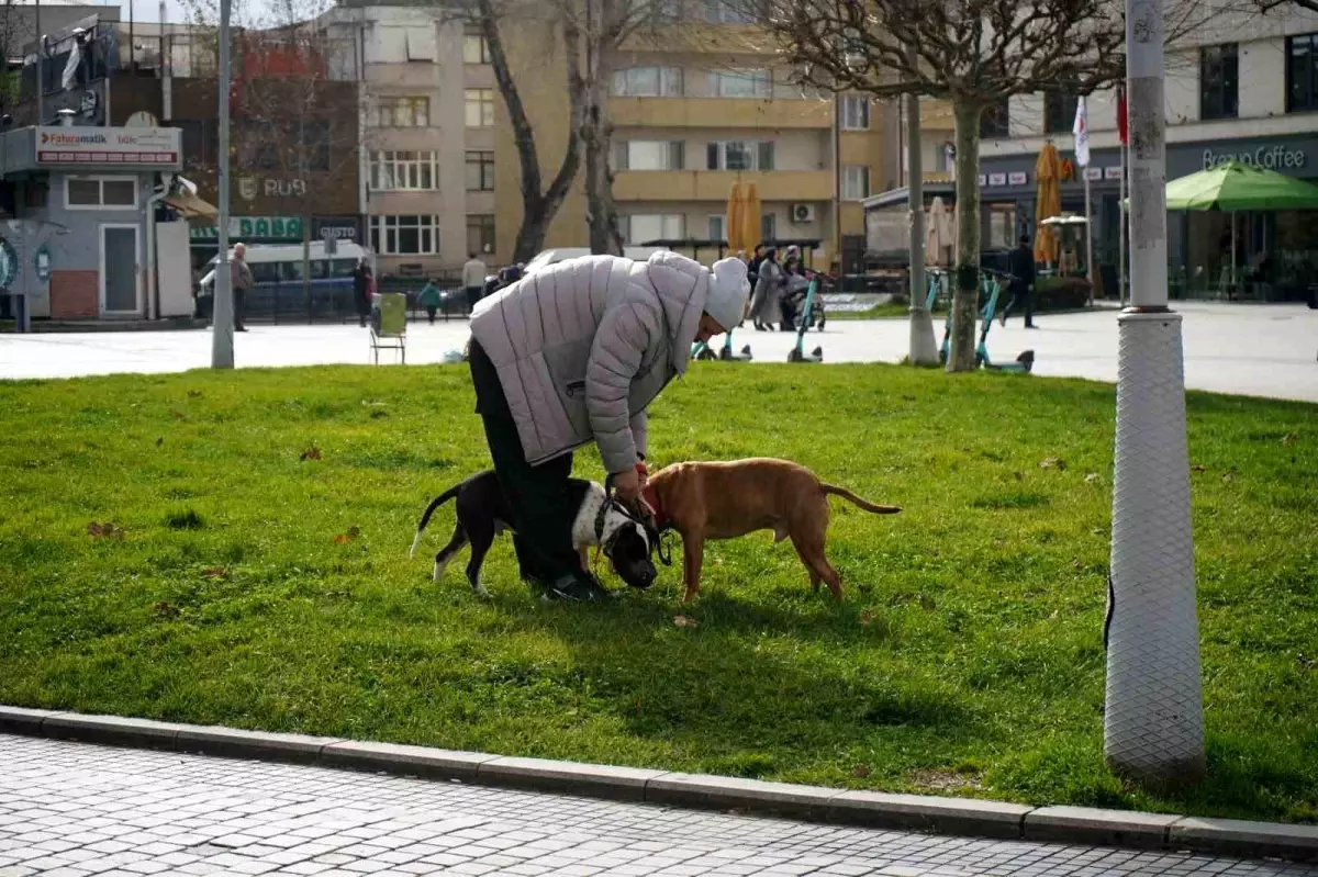 Kış ortasında sonbahar havası