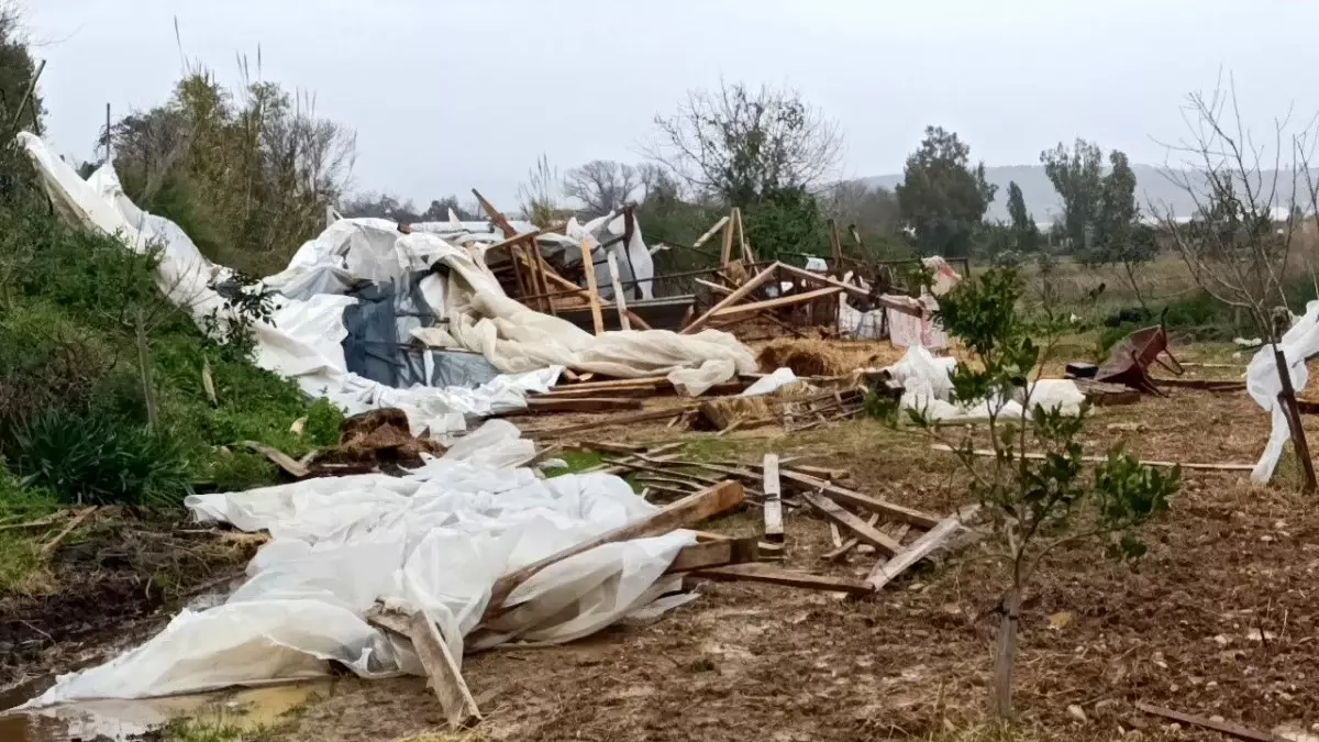 Manavgat'ta hortum 300 dönümlük alanda seraları yerle bir etti