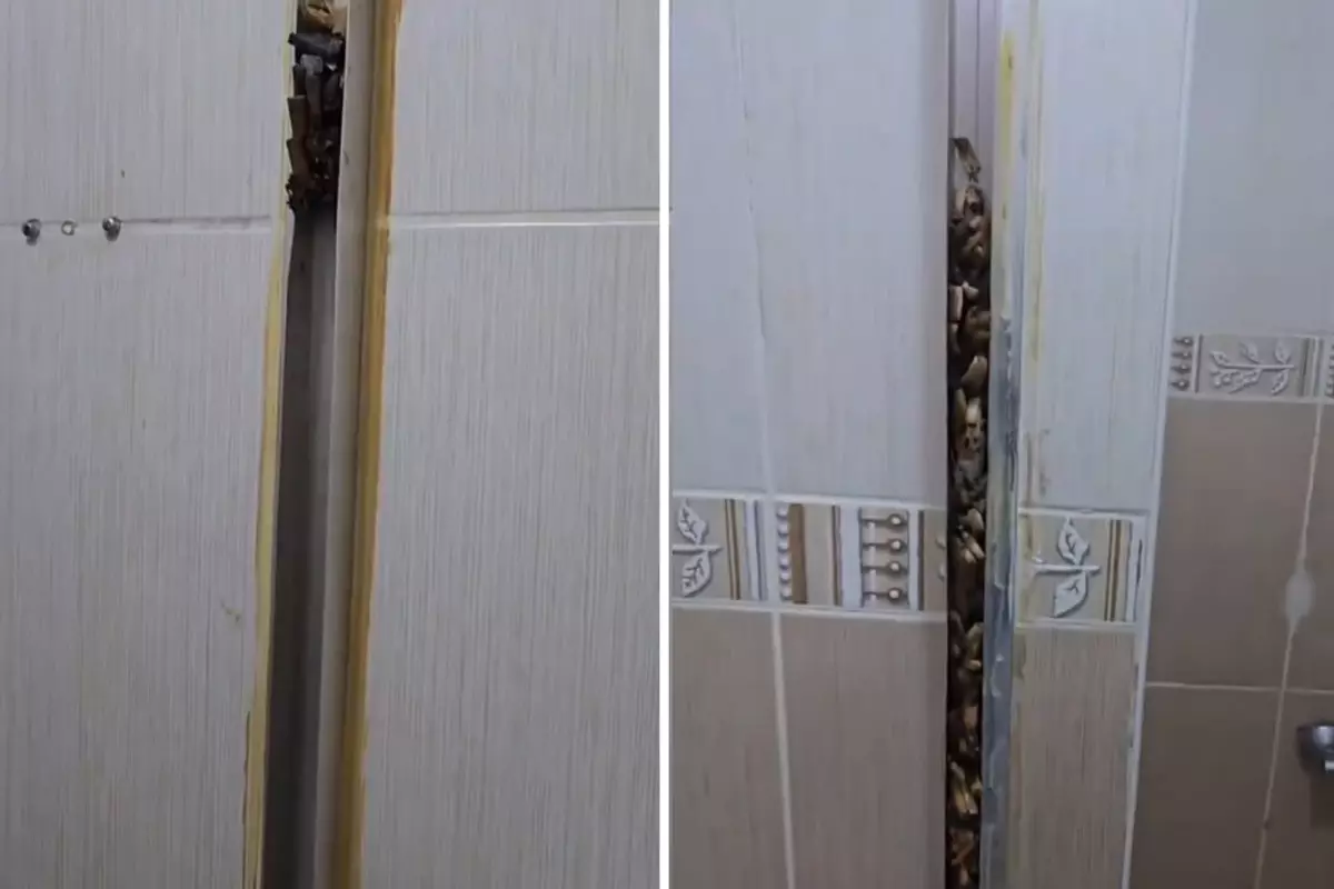 Öğrencilere kiraya verdiği eve giren kadın, gördüğü manzara karşısında sinir krizi geçirdi