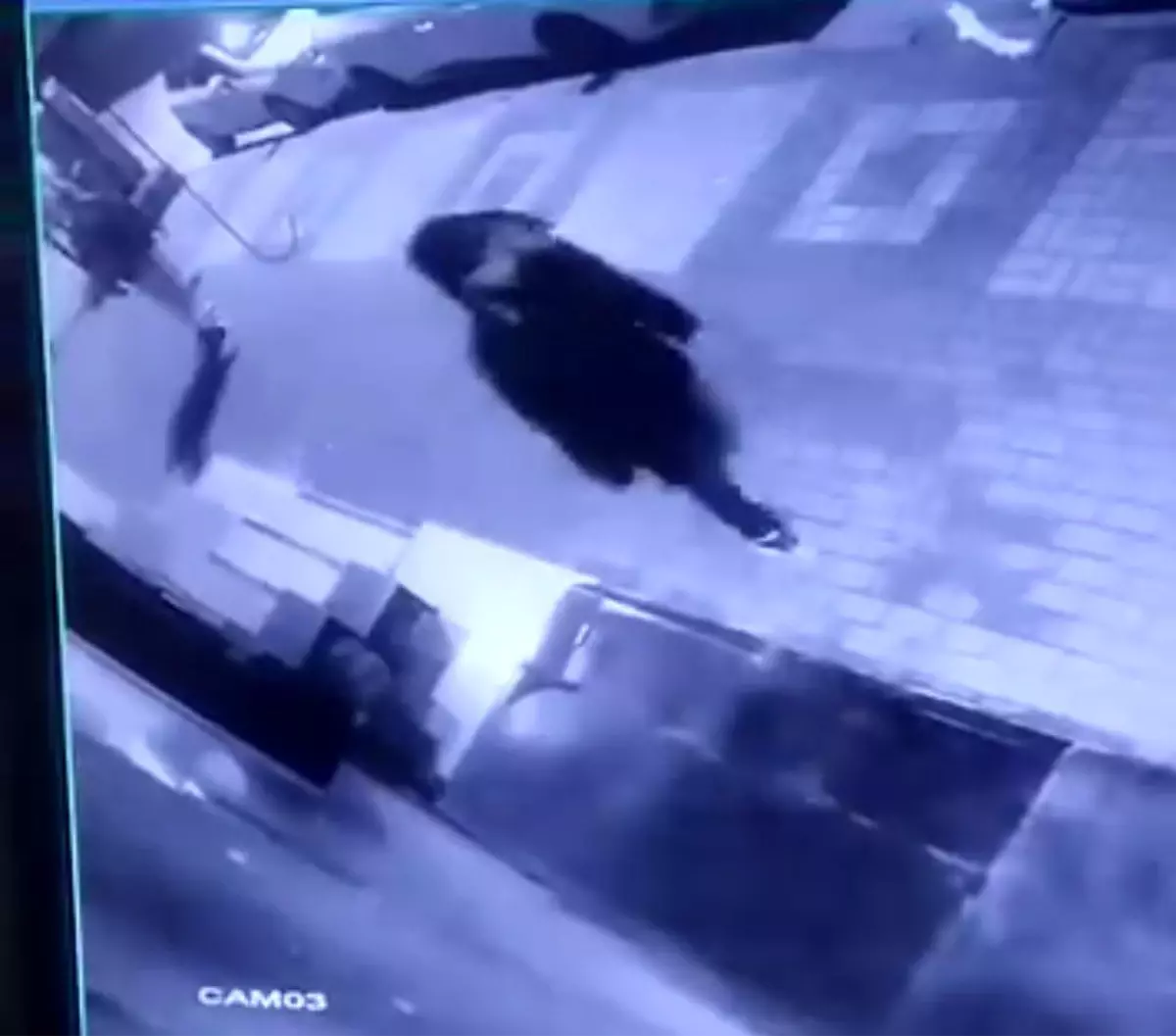 Otomobillerin aynalarını kırıp camlarını yumrukladılar, hiçbir şey olmamış gibi gittiler