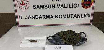 Samsun'da uyuşturucu operasyonunda 1 zanlı yakalandı