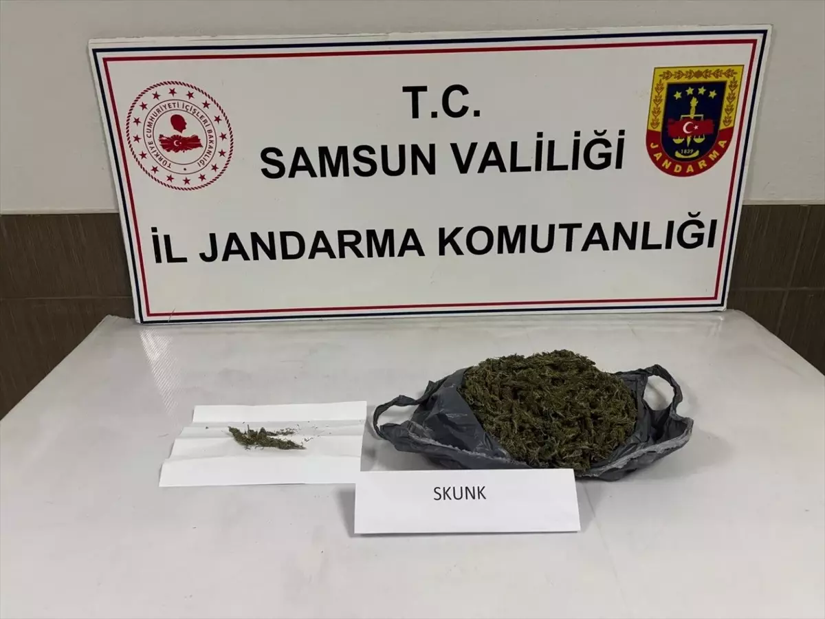 Samsun'da uyuşturucu operasyonunda 1 zanlı yakalandı