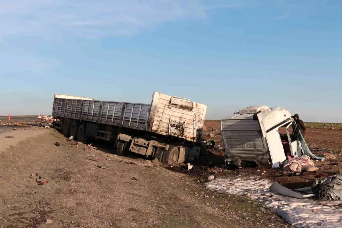 Şırnak'ta iki tır çarpıştı: 2 yaralı