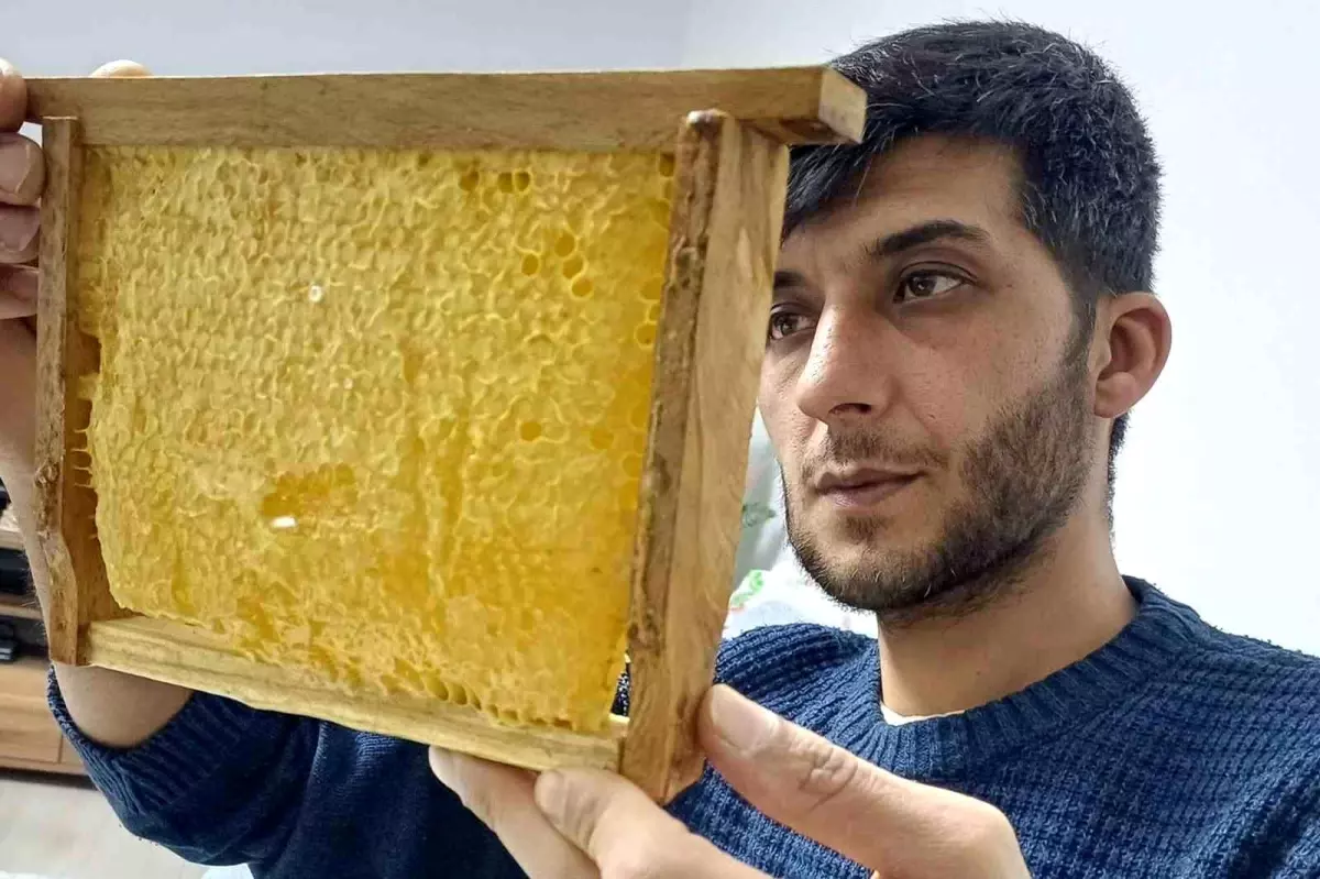 Araban'da üretilen bala yoğun talep