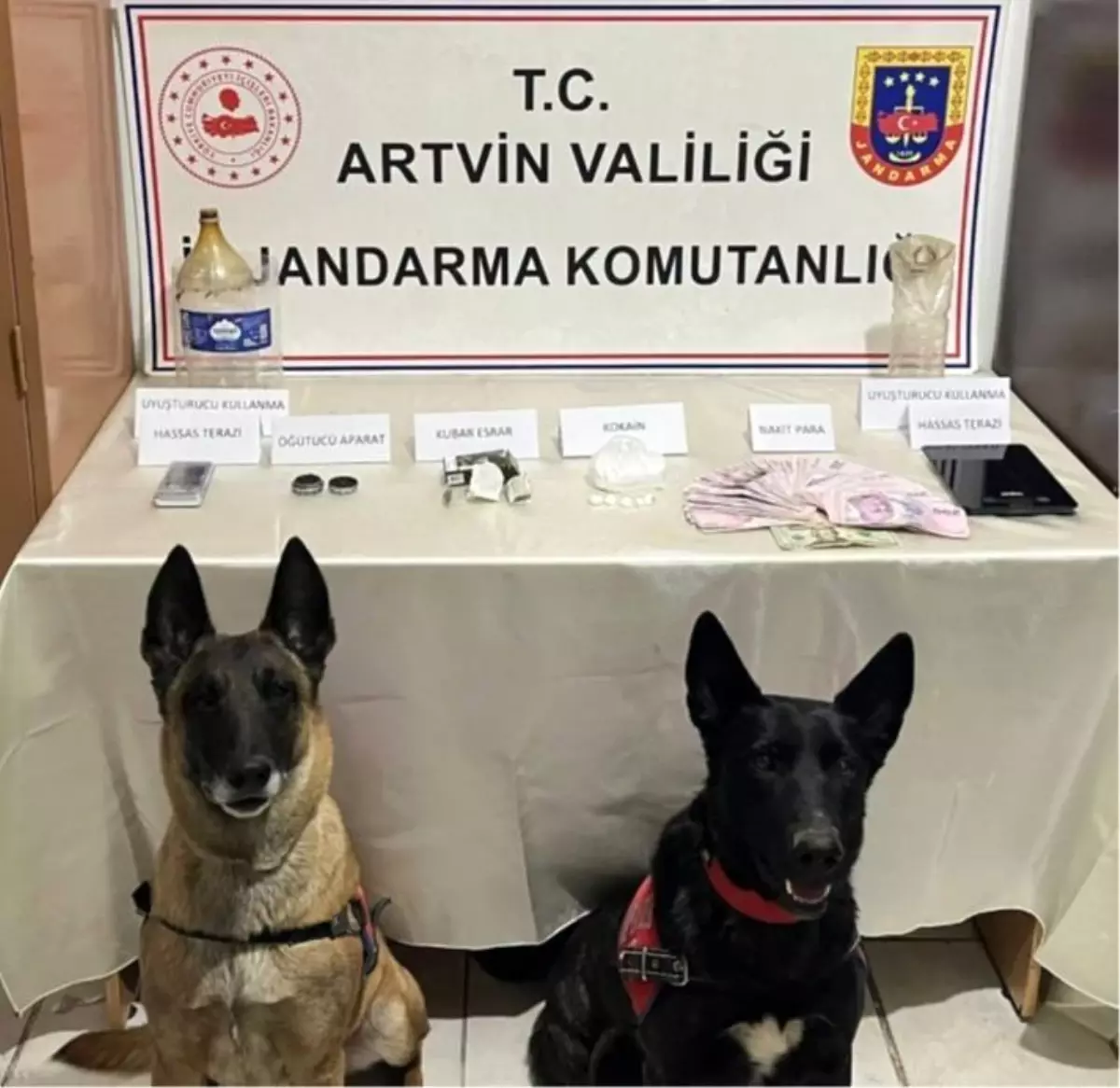 Artvin'de uyuşturucu operasyonu