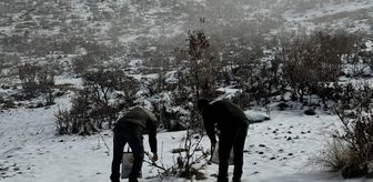 Batman'da yaban hayvanları için doğaya yem bırakıldı