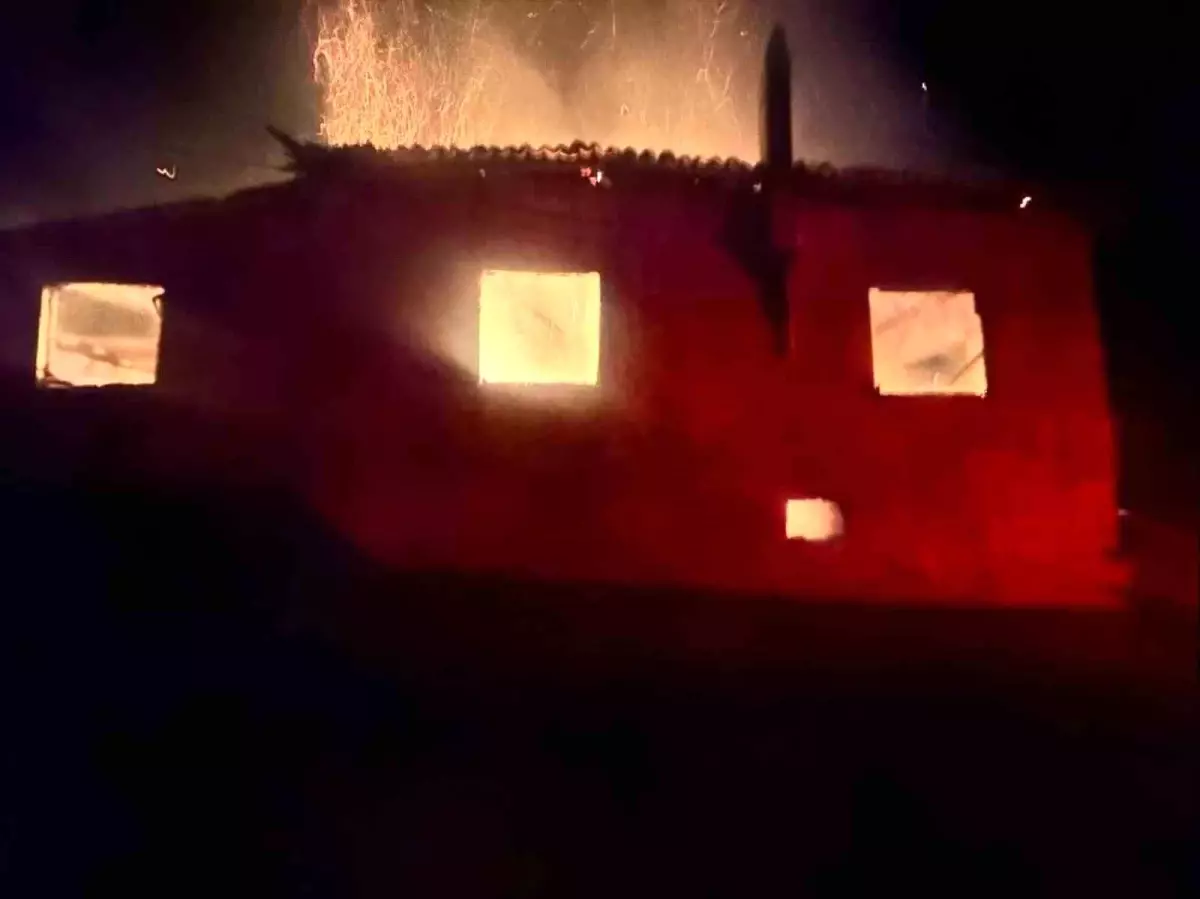 Bilecik'te korkutan yangın