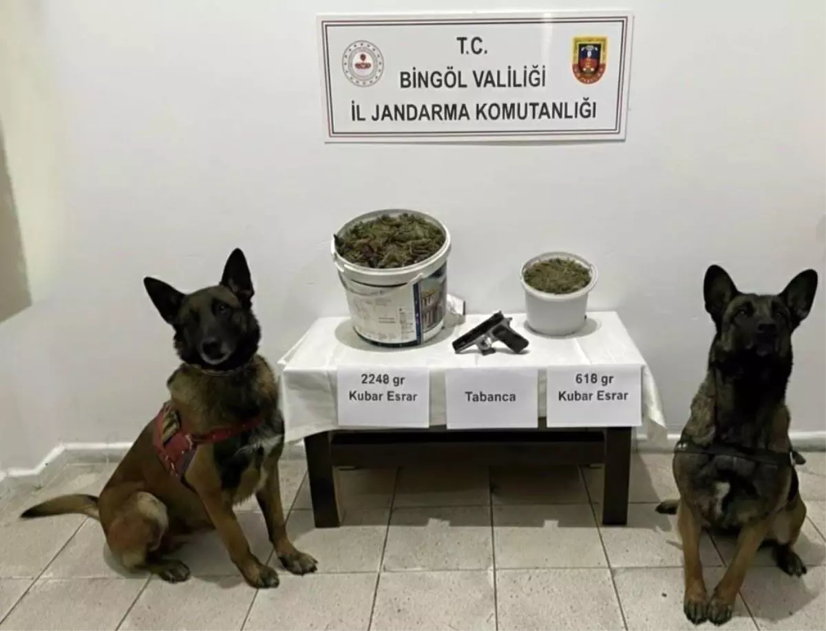 Bingöl'de uyuşturucu operasyonu: 3 gözaltı