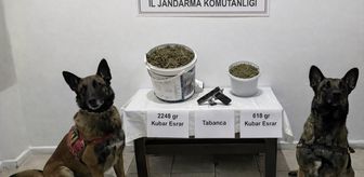 Bingöl'de uyuşturucu operasyonunda 3 şüpheli yakalandı