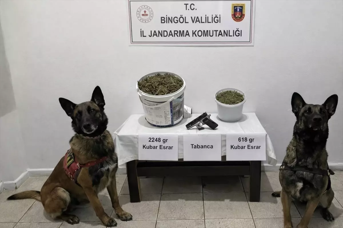 Bingöl'de uyuşturucu operasyonunda 3 şüpheli yakalandı