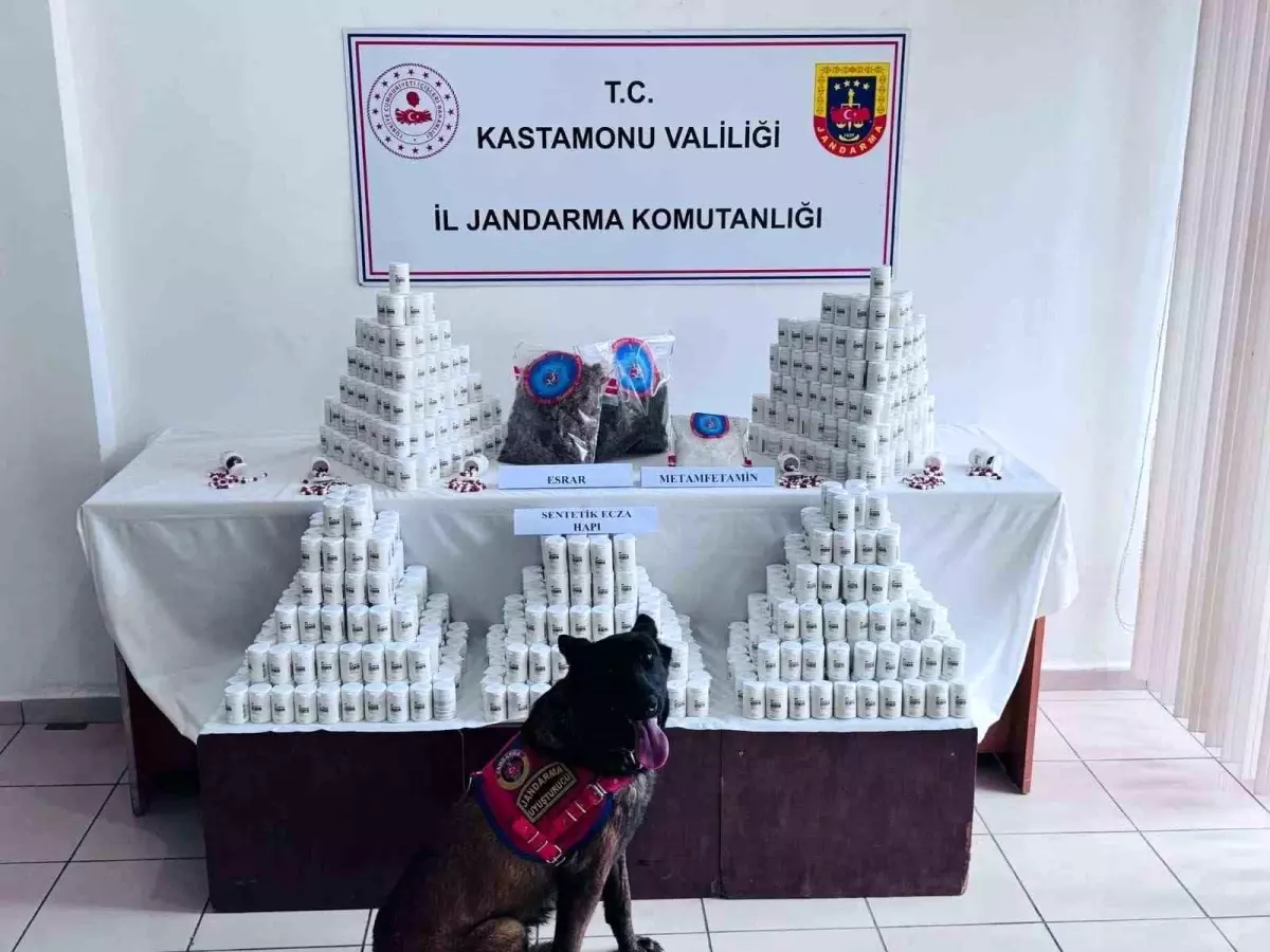 Binlerce sentetik ecza hapla yakalanan sanığın yargılamasına devam edildi