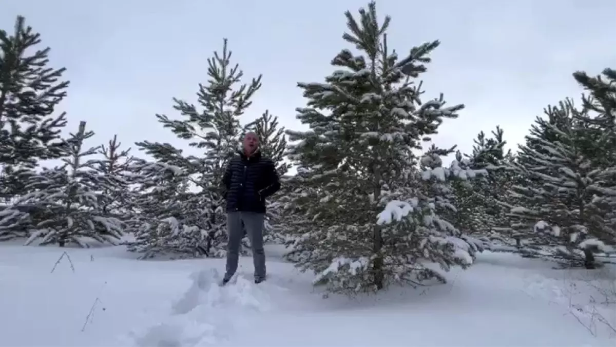 Dondurucu soğuğa aldırış etmeden akarsuya girdi