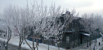 Erzurum, Ağrı, Ardahan ve Kars'ta soğuk hava etkisini sürdürüyor