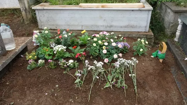 Sinem'i katleden cani cezaevinden mektup yolladı: Suç işlemeyi göze alarak bunu yapacağım 9 esinin katlettigi sinem in ailesine cezaevind 4 19510439 o