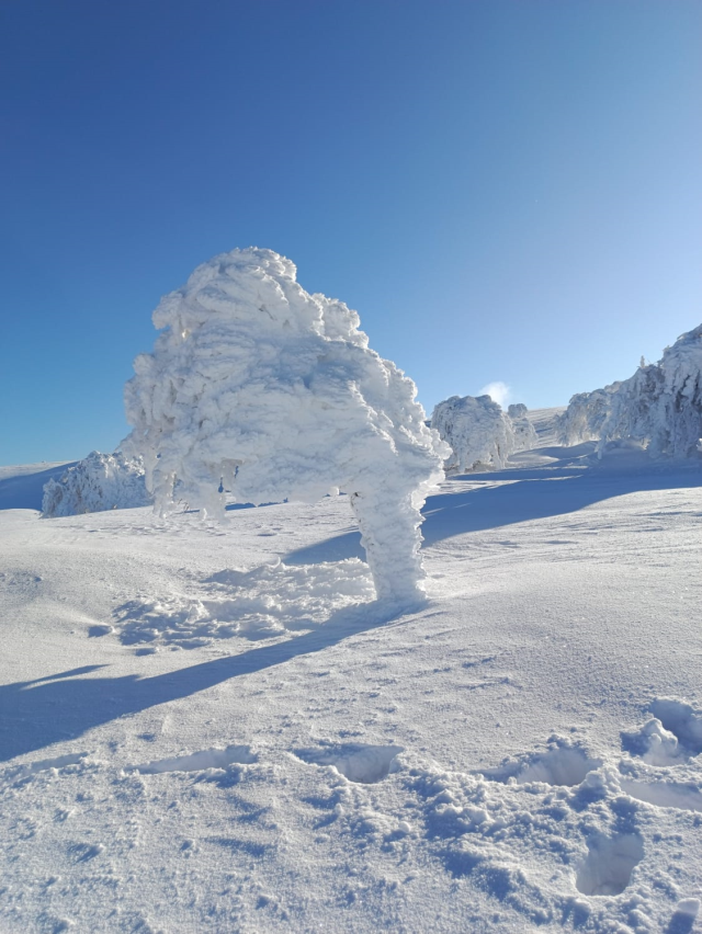 Görüntüler İstanbul'un yanı başından Görüntüler İstanbul'un yanı başından