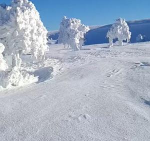 goruntuler istanbul un yani basindan 19512406 5611 m
