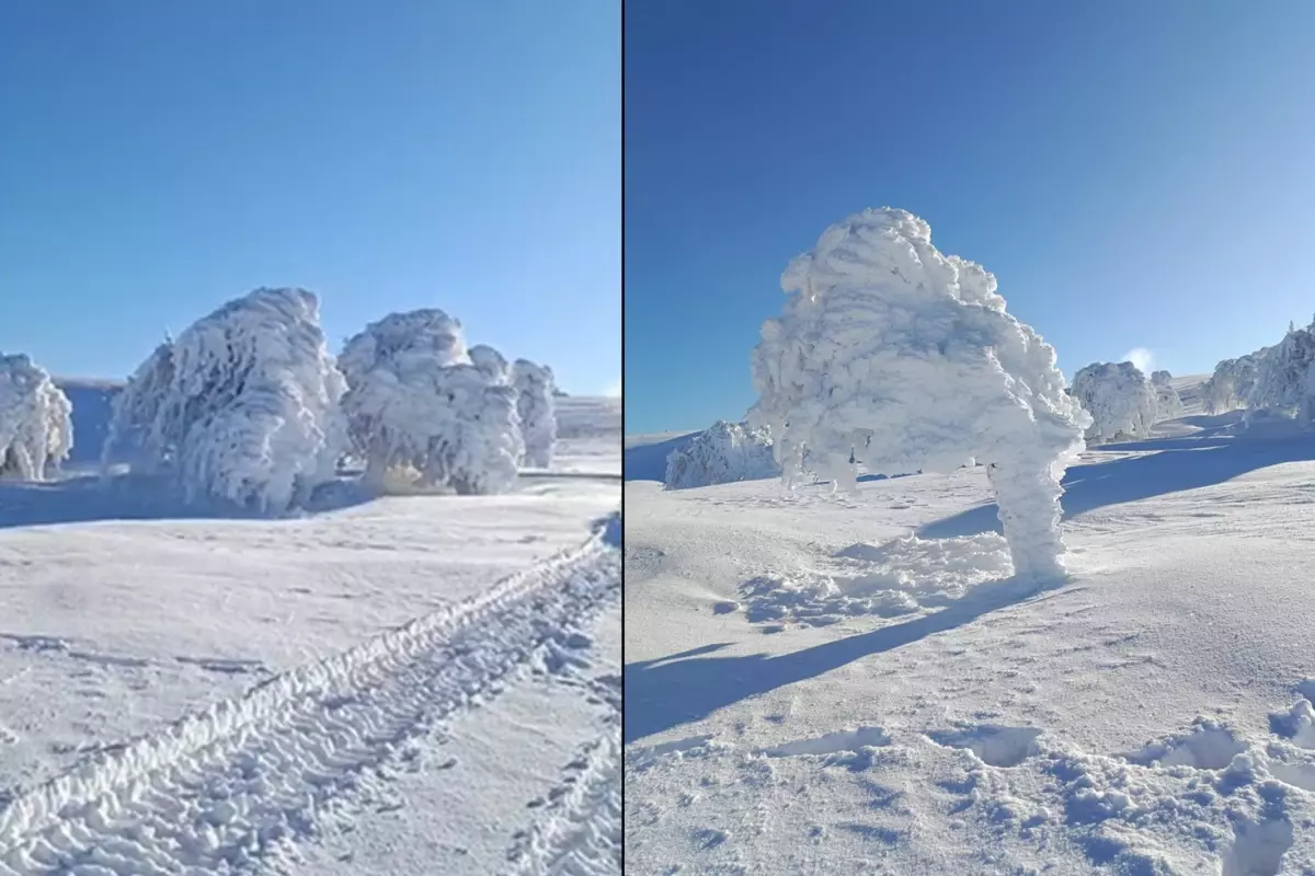 Görüntüler İstanbul'un yanı başından